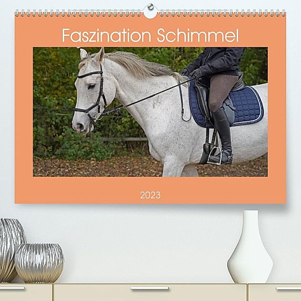 Faszination Schimmel (Premium, hochwertiger DIN A2 Wandkalender 2023, Kunstdruck in Hochglanz), Babett Paul - Babetts Bildergalerie