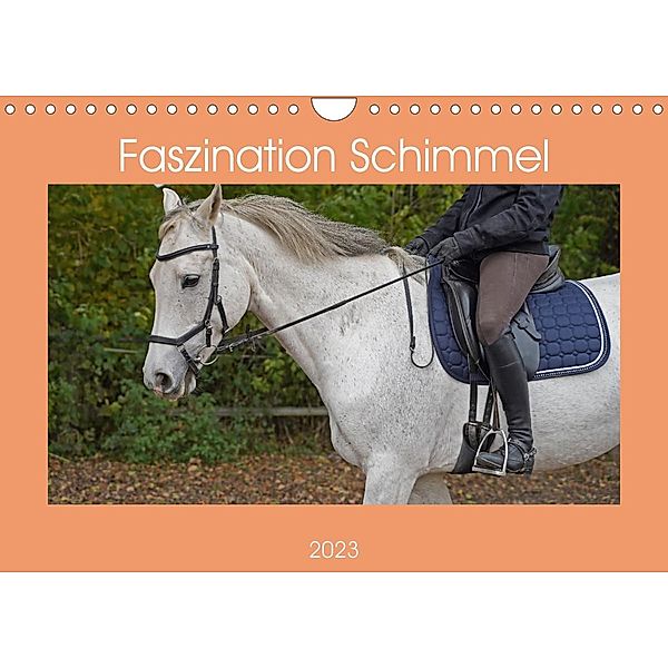 Faszination Schimmel (Wandkalender 2023 DIN A4 quer), Babett Paul - Babetts Bildergalerie