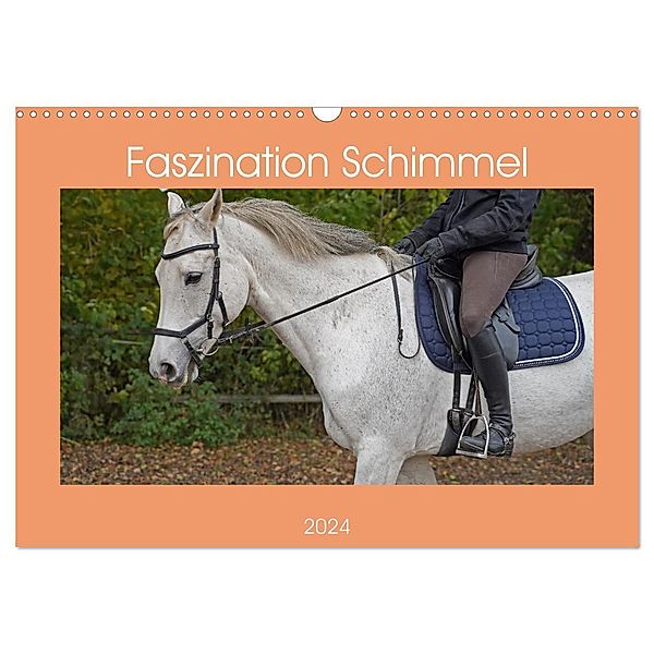 Faszination Schimmel (Wandkalender 2024 DIN A3 quer), CALVENDO Monatskalender, Babett Paul - Babetts Bildergalerie