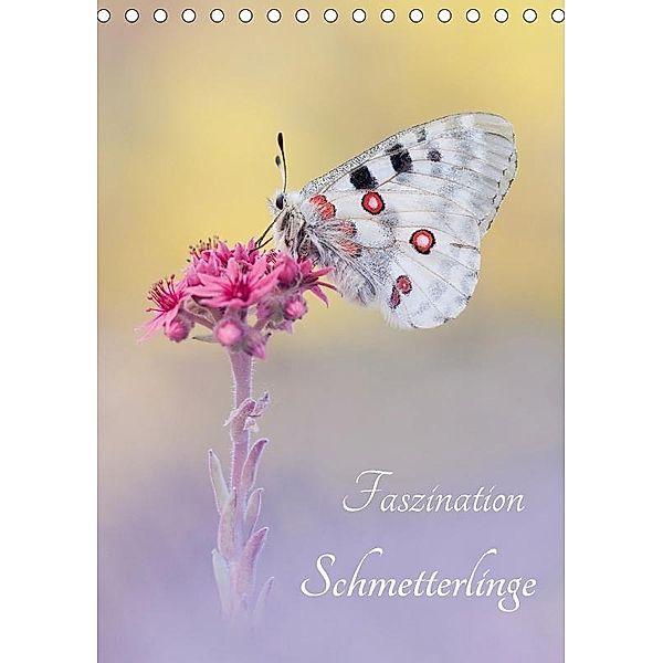 Faszination Schmetterlinge (Tischkalender 2017 DIN A5 hoch), Marion Kraschl