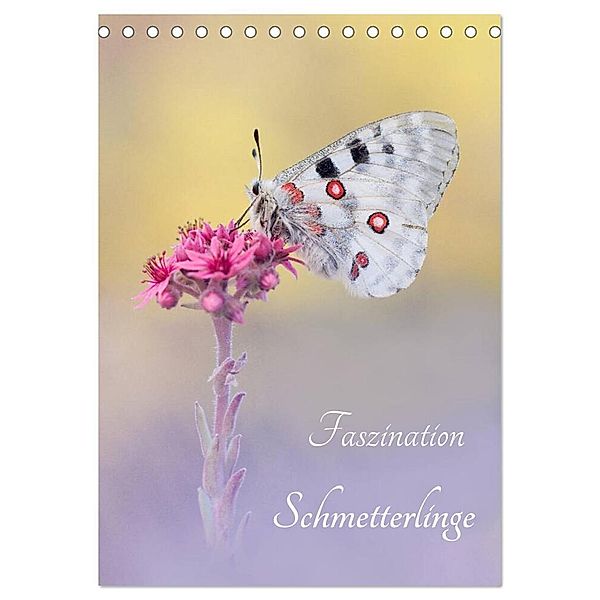 Faszination Schmetterlinge (Tischkalender 2024 DIN A5 hoch), CALVENDO Monatskalender, Marion Kraschl