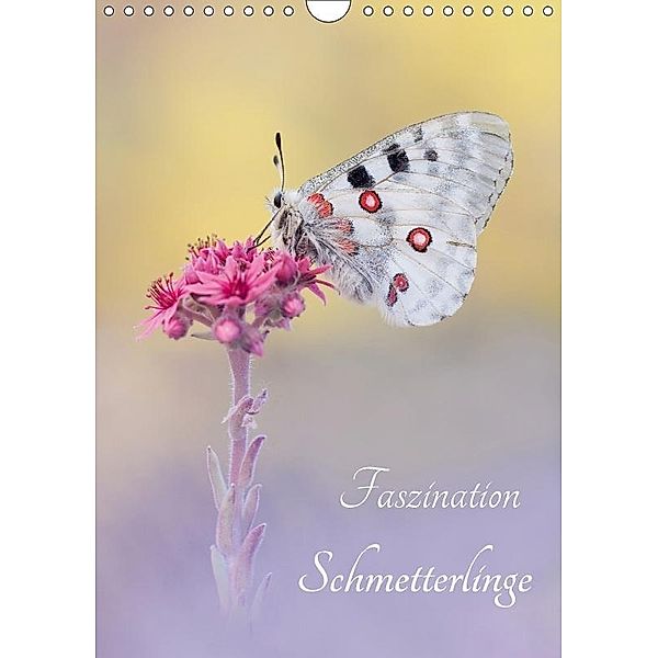 Faszination Schmetterlinge (Wandkalender 2017 DIN A4 hoch), Marion Kraschl
