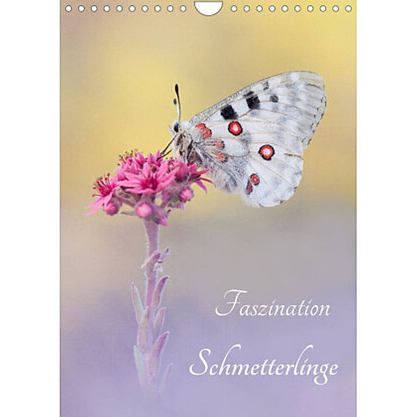 Faszination Schmetterlinge (Wandkalender 2022 DIN A4 hoch), Marion Kraschl