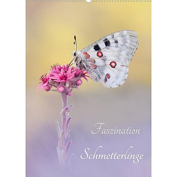 Faszination Schmetterlinge (Wandkalender 2023 DIN A2 hoch), Marion Kraschl