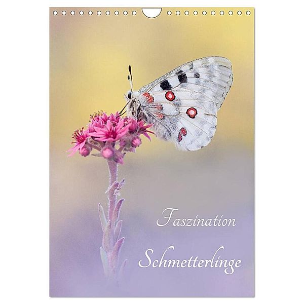 Faszination Schmetterlinge (Wandkalender 2024 DIN A4 hoch), CALVENDO Monatskalender, Marion Kraschl