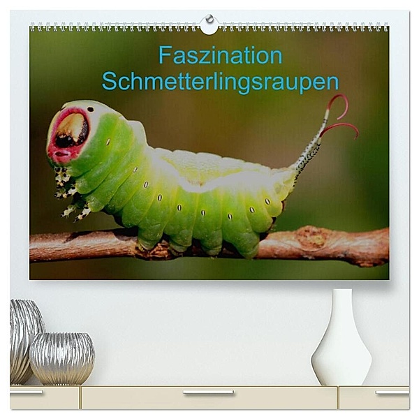 Faszination Schmetterlingsraupen (hochwertiger Premium Wandkalender 2024 DIN A2 quer), Kunstdruck in Hochglanz, Winfried Erlwein
