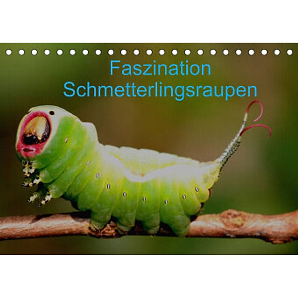 Faszination Schmetterlingsraupen (Tischkalender 2022 DIN A5 quer), Winfried Erlwein