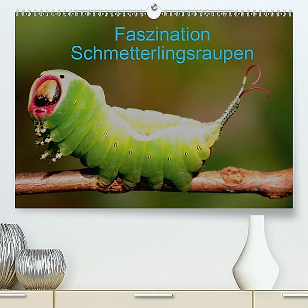 Faszination Schmetterlingsraupen(Premium, hochwertiger DIN A2 Wandkalender 2020, Kunstdruck in Hochglanz), Winfried Erlwein