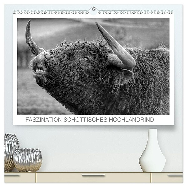 Faszination Schottisches Hochlandrind (hochwertiger Premium Wandkalender 2024 DIN A2 quer), Kunstdruck in Hochglanz, Sigrid Sprengelmeyer