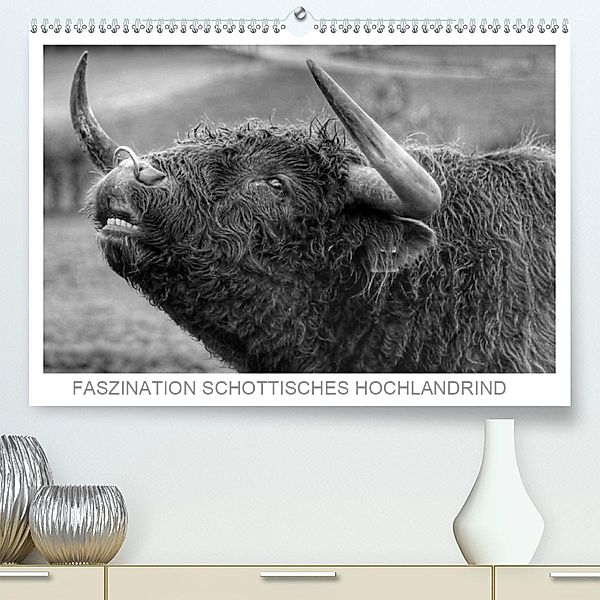 Faszination Schottisches Hochlandrind (Premium-Kalender 2020 DIN A2 quer), Sigrid Sprengelmeyer
