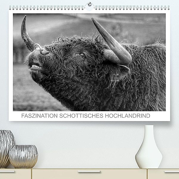 Faszination Schottisches Hochlandrind (Premium, hochwertiger DIN A2 Wandkalender 2023, Kunstdruck in Hochglanz), Sigrid Sprengelmeyer