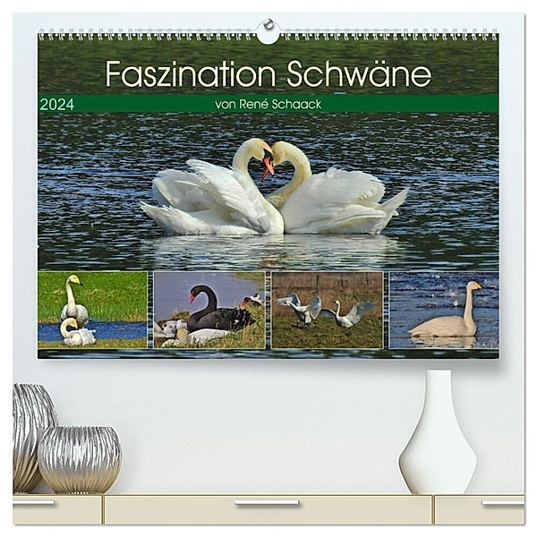 Faszination Schwäne (hochwertiger Premium Wandkalender 2024 DIN A2 quer), Kunstdruck in Hochglanz, René Schaack