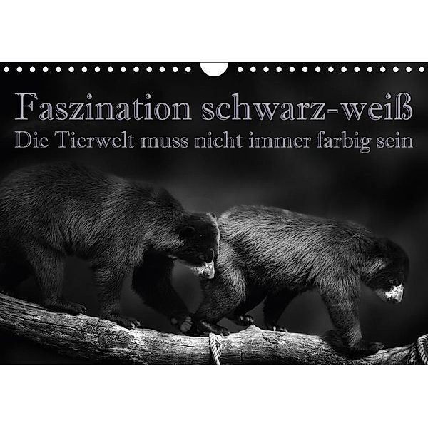 Faszination schwarz-weiß - Die Tierwelt muss nicht immer farbig sein (Wandkalender 2017 DIN A4 quer), Eleonore Swierczyna