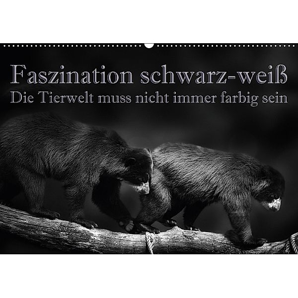 Faszination schwarz-weiß - Die Tierwelt muss nicht immer farbig sein (Wandkalender 2018 DIN A2 quer), Eleonore Swierczyna