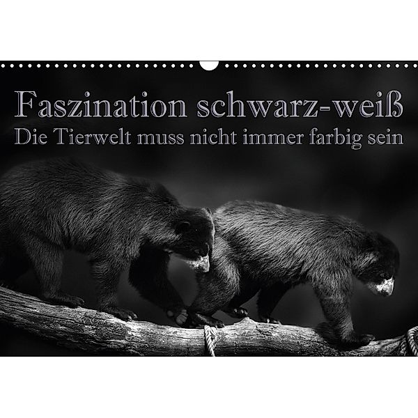 Faszination schwarz-weiß - Die Tierwelt muss nicht immer farbig sein (Wandkalender 2018 DIN A3 quer), Eleonore Swierczyna