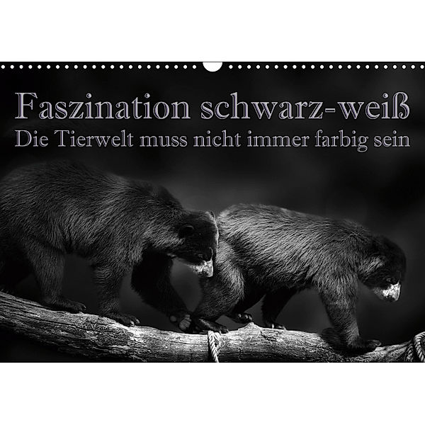 Faszination schwarz-weiß - Die Tierwelt muss nicht immer farbig sein (Wandkalender 2019 DIN A3 quer), Eleonore Swierczyna