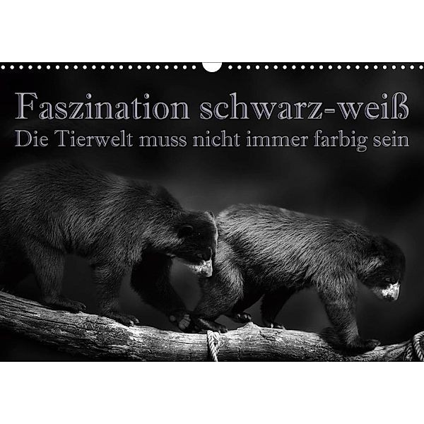 Faszination schwarz-weiss - Die Tierwelt muss nicht immer farbig sein (Wandkalender 2020 DIN A3 quer), Eleonore Swierczyna