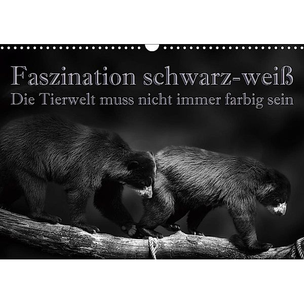 Faszination schwarz-weiß - Die Tierwelt muss nicht immer farbig sein (Wandkalender 2021 DIN A3 quer), Eleonore Swierczyna