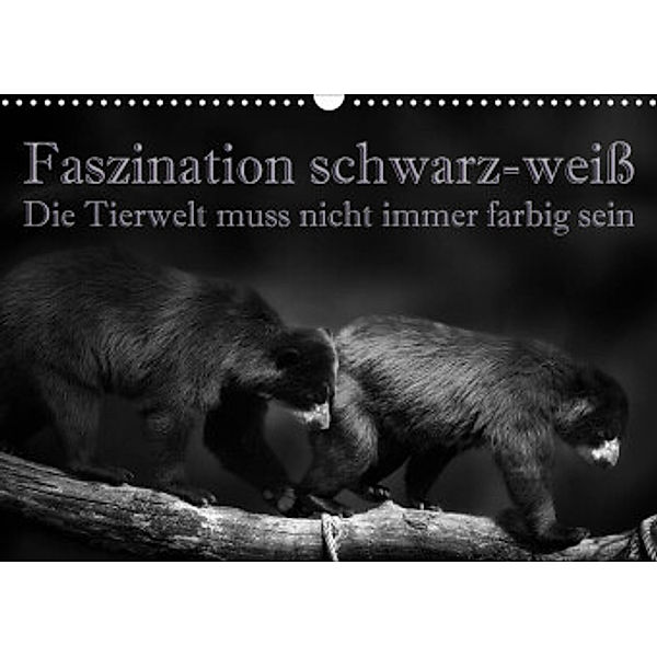 Faszination schwarz-weiß - Die Tierwelt muss nicht immer farbig sein (Wandkalender 2022 DIN A3 quer), Eleonore Swierczyna