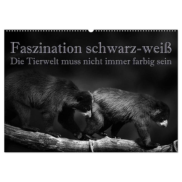 Faszination schwarz-weiß - Die Tierwelt muss nicht immer farbig sein (Wandkalender 2024 DIN A2 quer), CALVENDO Monatskalender, Eleonore Swierczyna