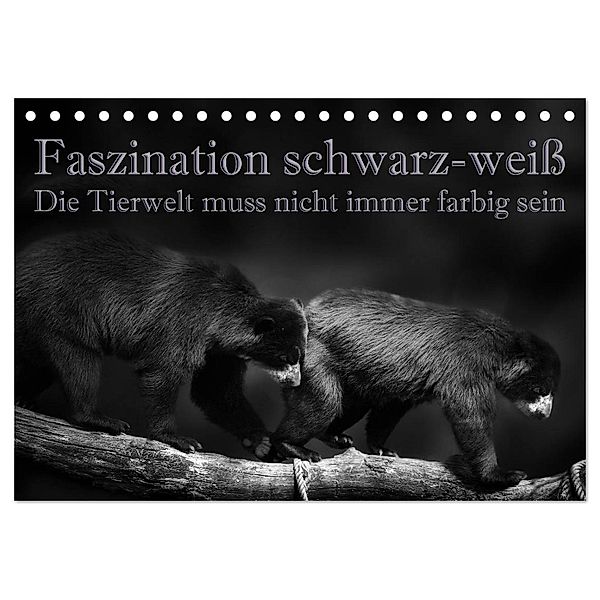 Faszination schwarz-weiß - Die Tierwelt muss nicht immer farbig sein (Tischkalender 2024 DIN A5 quer), CALVENDO Monatskalender, Eleonore Swierczyna