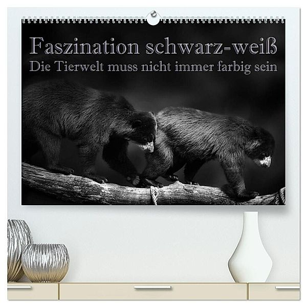 Faszination schwarz-weiß - Die Tierwelt muss nicht immer farbig sein (hochwertiger Premium Wandkalender 2024 DIN A2 quer), Kunstdruck in Hochglanz, Eleonore Swierczyna