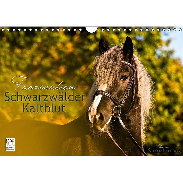 Faszination Schwarzwälder Kaltblut (Wandkalender 2019 DIN A4 quer), HomSi-Fotos