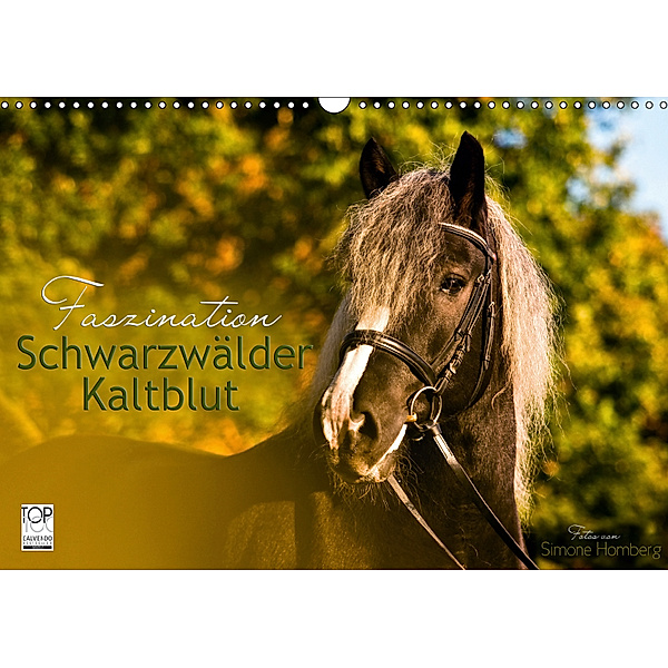 Faszination Schwarzwälder Kaltblut (Wandkalender 2019 DIN A3 quer), HomSi-Fotos