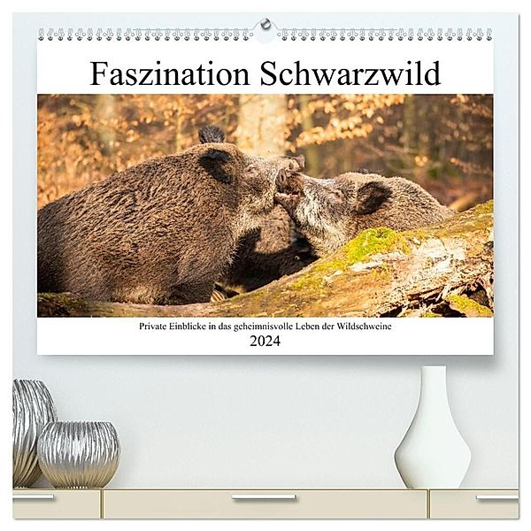 Faszination Schwarzwild (hochwertiger Premium Wandkalender 2024 DIN A2 quer), Kunstdruck in Hochglanz, Daniela Fett