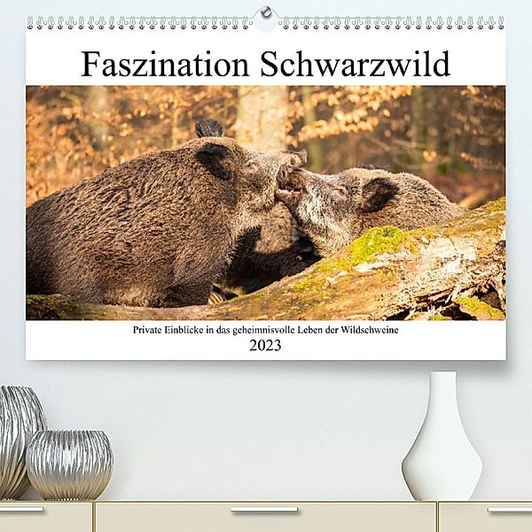 Faszination Schwarzwild (Premium, hochwertiger DIN A2 Wandkalender 2023, Kunstdruck in Hochglanz), Daniela Fett