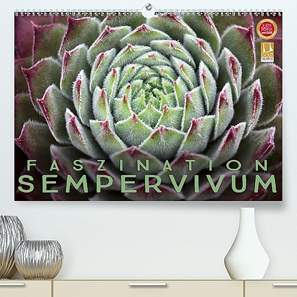 Faszination Sempervivum (Premium, hochwertiger DIN A2 Wandkalender 2020, Kunstdruck in Hochglanz), Martina Cross