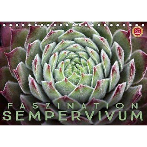 Faszination Sempervivum (Tischkalender 2016 DIN A5 quer), Martina Cross