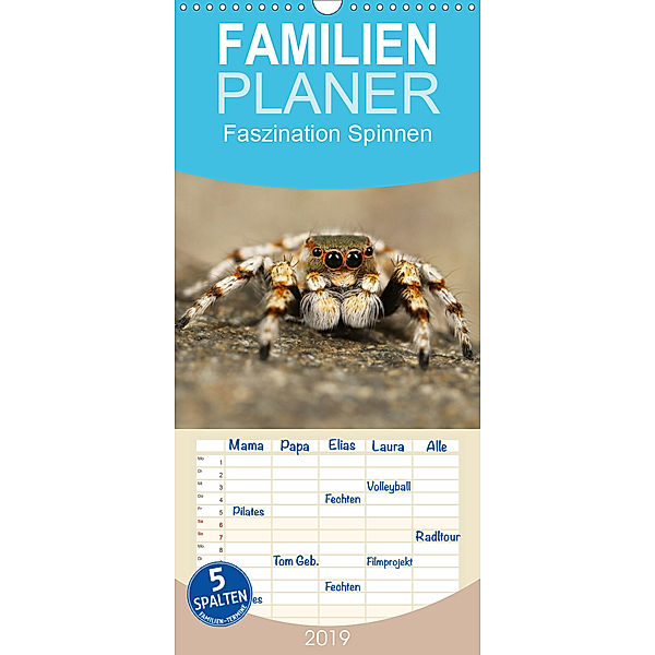 Faszination Spinnen - Familienplaner hoch (Wandkalender 2019 , 21 cm x 45 cm, hoch), Elisabeth Stanzer