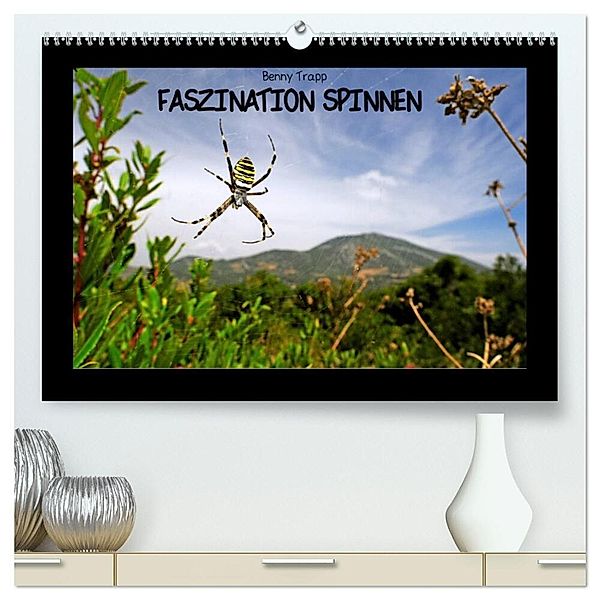 Faszination Spinnen (hochwertiger Premium Wandkalender 2024 DIN A2 quer), Kunstdruck in Hochglanz, Benny Trapp