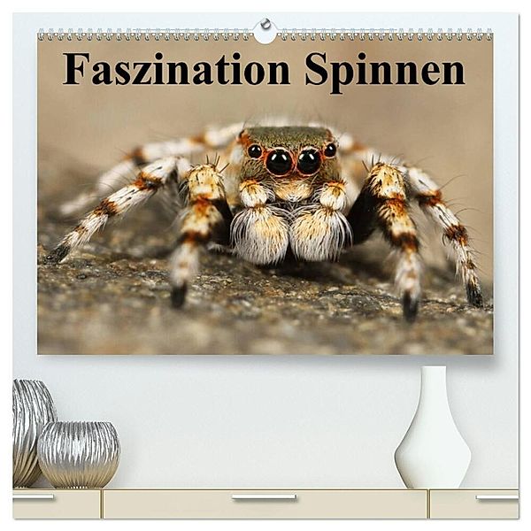 Faszination Spinnen (hochwertiger Premium Wandkalender 2024 DIN A2 quer), Kunstdruck in Hochglanz, Elisabeth Stanzer