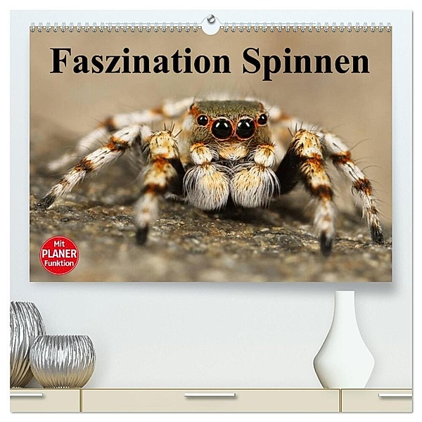 Faszination Spinnen (hochwertiger Premium Wandkalender 2025 DIN A2 quer), Kunstdruck in Hochglanz, Calvendo, Elisabeth Stanzer