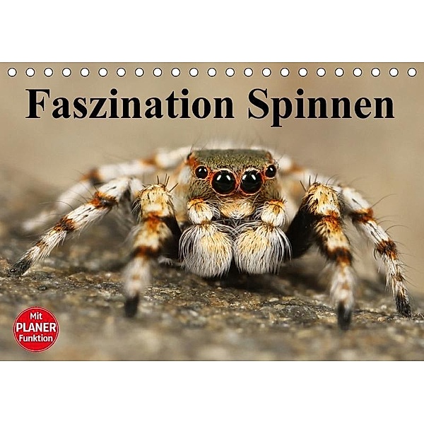 Faszination Spinnen (Tischkalender 2017 DIN A5 quer), Elisabeth Stanzer