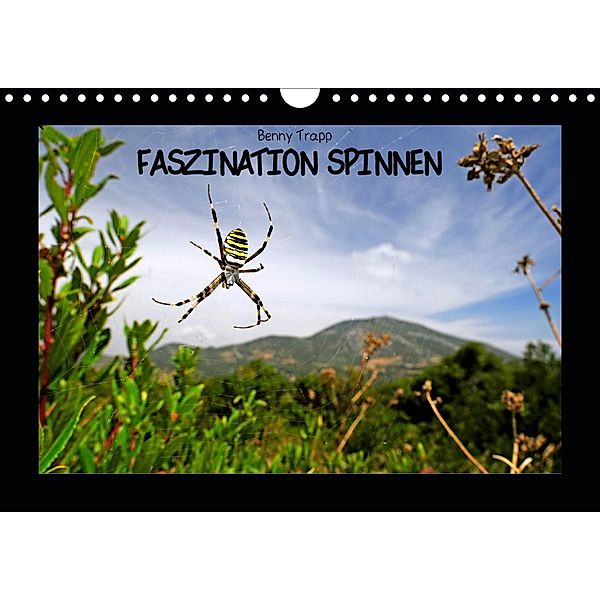 Faszination Spinnen (Wandkalender 2021 DIN A4 quer), Benny Trapp