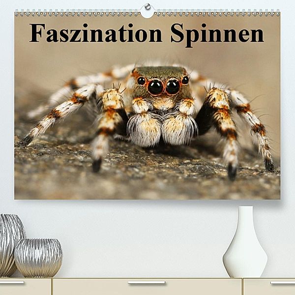 Faszination Spinnen(Premium, hochwertiger DIN A2 Wandkalender 2020, Kunstdruck in Hochglanz), Elisabeth Stanzer