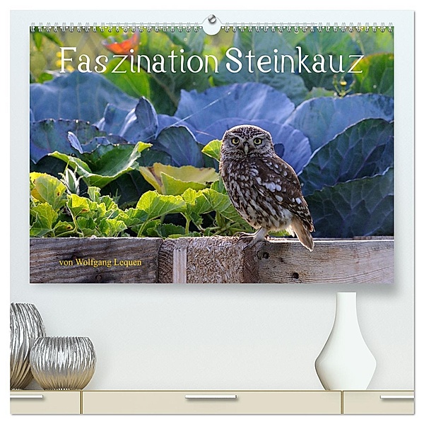Faszination Steinkauz (hochwertiger Premium Wandkalender 2025 DIN A2 quer), Kunstdruck in Hochglanz, Calvendo, Wolfgang Lequen