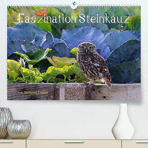 Faszination Steinkauz (Premium, hochwertiger DIN A2 Wandkalender 2023, Kunstdruck in Hochglanz), Wolfgang Lequen