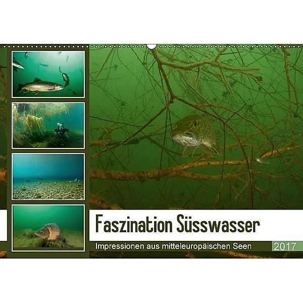 Faszination Süsswasser (Wandkalender 2017 DIN A2 quer), Sven Gruse