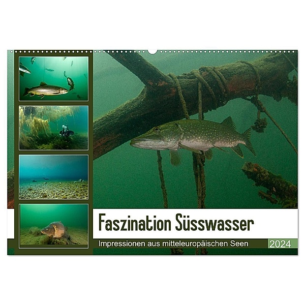 Faszination Süsswasser (Wandkalender 2024 DIN A2 quer), CALVENDO Monatskalender, Sven Gruse