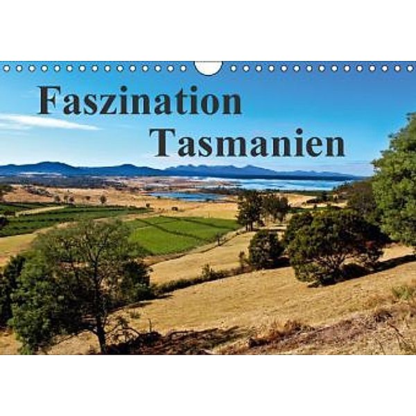 Faszination Tasmanien (Wandkalender 2016 DIN A4 quer), Anke Fietzek