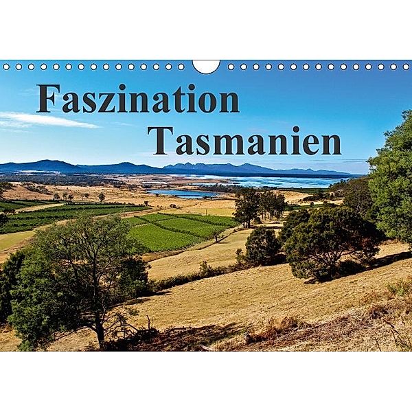 Faszination Tasmanien (Wandkalender 2017 DIN A4 quer), Anke Fietzek