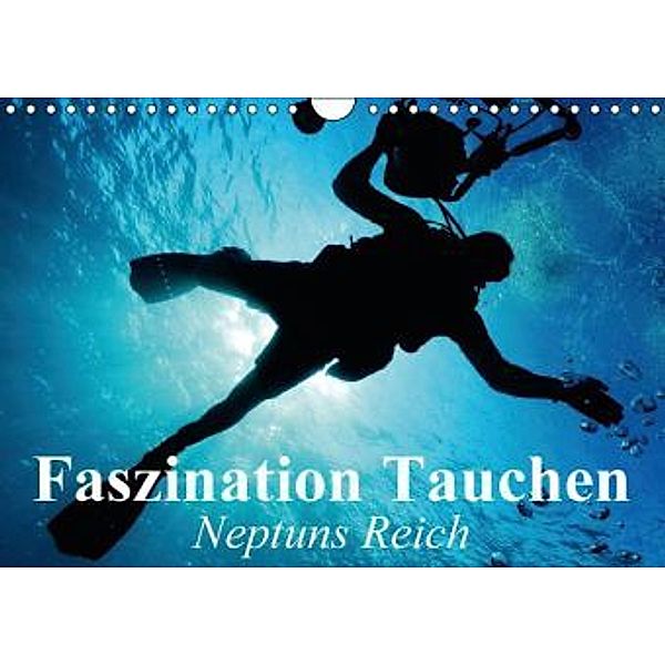 Faszination Tauchen Neptuns Reich (Wandkalender 2015 DIN A4 quer), Elisabeth Stanzer