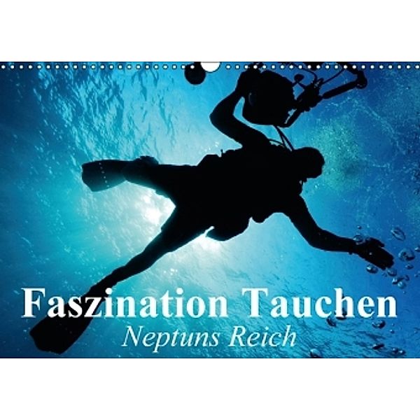 Faszination Tauchen - Neptuns Reich (Wandkalender 2016 DIN A3 quer), Elisabeth Stanzer