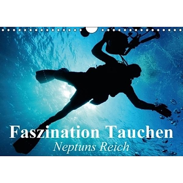 Faszination Tauchen - Neptuns Reich (Wandkalender 2016 DIN A4 quer), Elisabeth Stanzer