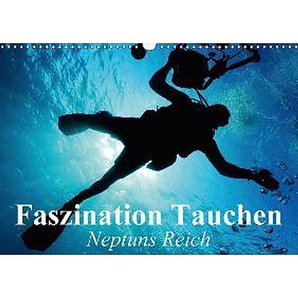 Faszination Tauchen - Neptuns Reich (Wandkalender 2017 DIN A3 quer), Elisabeth Stanzer