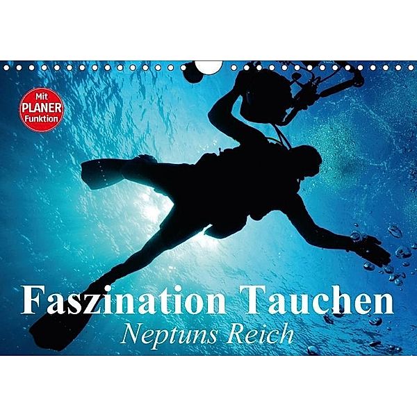 Faszination Tauchen. Neptuns Reich (Wandkalender 2017 DIN A4 quer), Elisabeth Stanzer